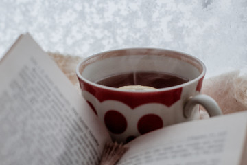 Warm cup of tea with book near the window