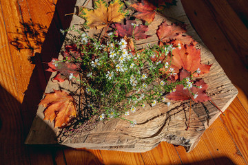 Fresh flowers and beautiful autumn leaves on a wooden board. Still life.