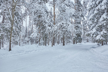 Wooden Finnish house in winter forest covered with snow