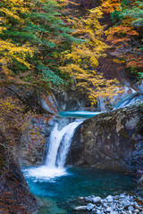 西沢渓谷の鮮やかな紅葉と滝