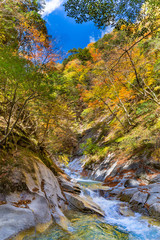 西沢渓谷の鮮やかな紅葉と滝