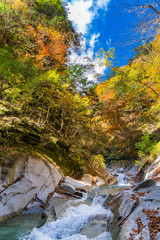 西沢渓谷の鮮やかな紅葉と滝