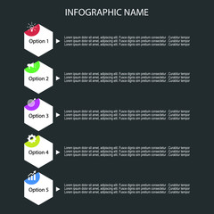 Fototapeta premium Hexagon style infographic