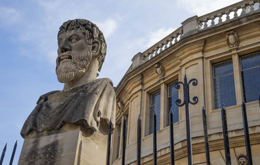 Oxford bust