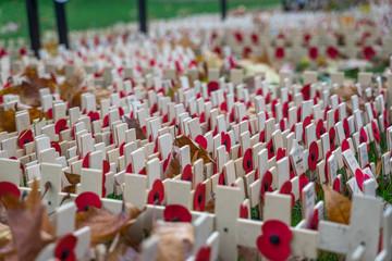 Close up of small wooden cross Poppy’s for Remembrance Day