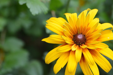CS 0549