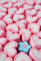Vertical Image of Many Pastel Pink and White Heart Shaped with Only One Pastel Blue Flower Shaped Marshmallow Candies 