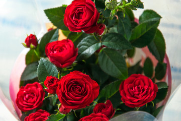Fototapeta premium A bouquet of red roses.