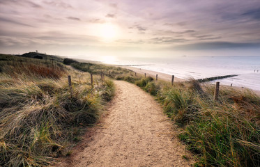 chemin sur dune avec vue sur la plage de la mer du Nord