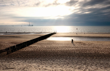 Fototapeta premium couple walks on North sea beach in sunshine