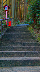 Fototapeta na wymiar stairway to heaven in Japanese Temple 