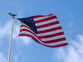 Obraz premium american flag, stars and stripes