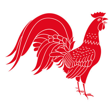 Silhouette of red cock