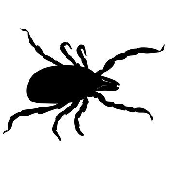 black tick silhouette on white background clip art preview