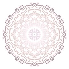 Modern Decorative floral mandala. Decorative Cicle ornament. Floral design. Vector illustration. Can be used for textile, greeting card, coloring book, phone case print