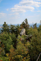 Landschaft im Harz, Felsen, B&auml;ume, Wege