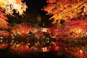 秋の京都、醍醐寺の紅葉