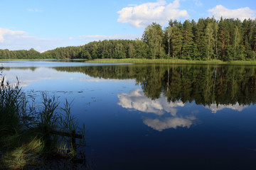 Beautiful landscape of forest lake in Lithuania.