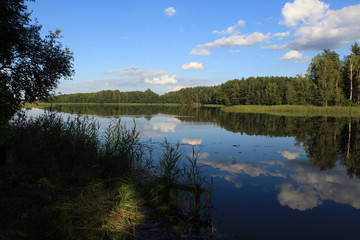 Fototapeta na wymiar Beautiful landscape of forest lake in Lithuania.