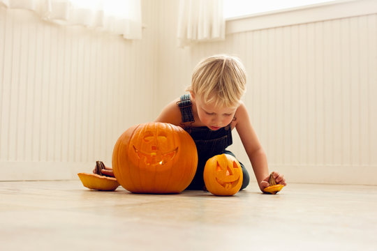 Young boy holds the stalks of a big Jack O'Lantern and a small Jack O'Lantern in each hand and leans over to look at the candles inside the pumpkins as he sits behind them on a floor.