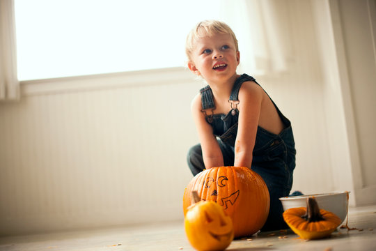 Young boy looks up and smiles as he kneels on a floor and digs both hands into a big pumpkin with a face drawn on it with a bowl and a finished small Jack O'Lantern with a candle lit inside in front of him.