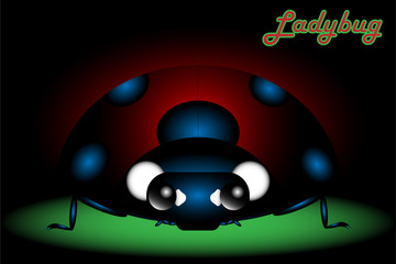 Fototapeta na wymiar Ladybug in dark shade shadow