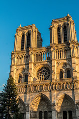 Fototapeta na wymiar Notre Dame Paris 