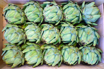 Fototapeta na wymiar Crate of green and purple artichokes at a farmers market 