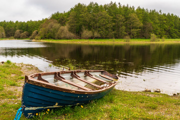 Obraz premium Abandoned blue wooden row boat tied down by the shore of a lake. Blessington Lake landscape on a cloudy Spring morning in Dublin, Ireland.