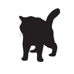Cat black silhouette on white vector illustration