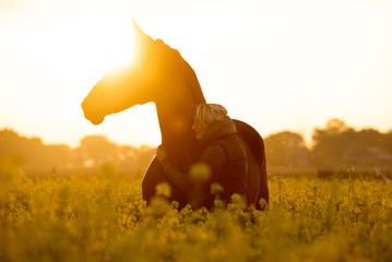 Pferd und Reiterin im Sonnenuntergang im Rapsfeld © Talitha
