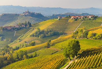 View on rows of vineyards and country villages in autumn in the Langhe region, Piedmont, Italy