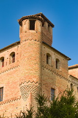 Fototapeta na wymiar Grinzane Cavour castle, historical landmark, village in Langhe region, Piedmont, Italy