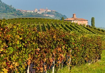 Fototapeta na wymiar Village of La Morra in the Langhe region in autumn surrounded by vineyards, Piedmont, Italy
