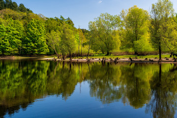 Fototapeta na wymiar Tranquil landscape of a forest lake with green trees reflected in the calm blue water. Dublin Mountains Way scene at Bohernabreena Reservoir, Ireland.