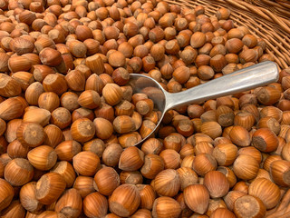 Ripe hazelnuts in a basket with a ladle. Concept: food