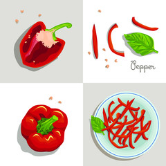 Bell peppers.Chopped bell peppers on a plate. Organic food vector illustration.