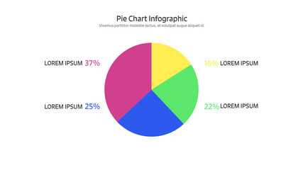 Pie Chart Infographic