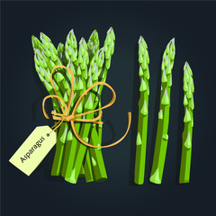 Asparagus vegetable stem. Bunch of fresh green asparagus sprout. Healthy food, dieting, vegetarian salad recipe design.