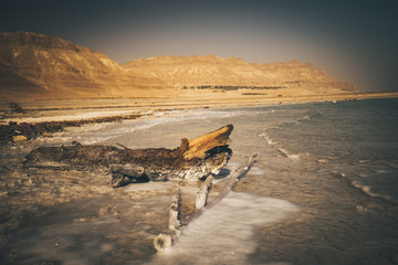 Salty Dead sea beach Ein Gedi Israel 