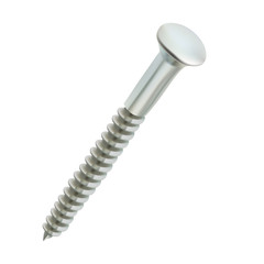 Ilustration of a Realistic Screw.