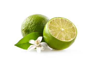 Limes with blossom on the white background