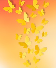 Butterflies flying - isolated image