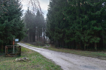 Road in the mountains of the german sauerland region