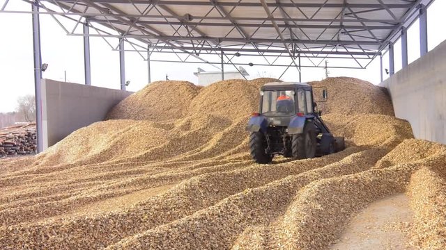 The energy industry. Tractor driver removes waste wood production. Wood chipping. Piles of wood chips in storage. Wood chips for a biomass combustion