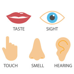 Human senses icon. Vector illustration, flat design.