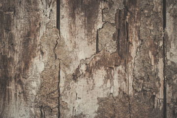 old wood background