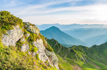 Naklejka premium Sunrise in Ukrainian Carpathians. Stones with rhododendrons on foreground with foggy background.