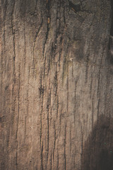 old wood background