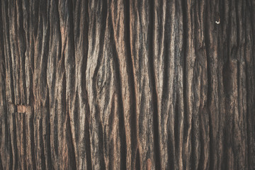 old wood background